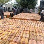 NSCDC Dismantles Badagry Illegal Baby Factory, 28 Victims Rescued