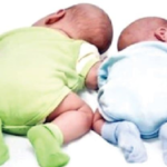 Nigeria Customs Raises Alarm Over Fake Car Auctions on Social Media