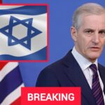 Fan Sues Arsenal for Emotional Distress, Professional Negligence