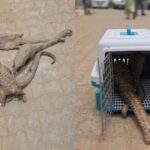 Tinubu Launches Renewed Hope Enterprise Bridge to Align Policy with Business