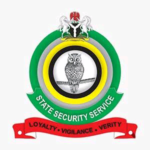 Imo, Enugu Lead Nigeria in Skilled Birth Attendance Rates, Reports NDHS