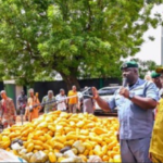 President Tinubu Warns Against Divisive Ambitions as APC Primaries Begin