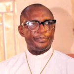 Ezeiruaku Emerges PDP Candidate for Nnewi Federal Constituency
