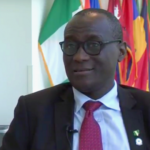 FG to Establish Dedicated GBV Safe Spaces Across All 774 LGAs