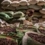 Global Fruit Demand Rises as Tunisia’s Exports Break into 23 Global Markets Generating $15m 