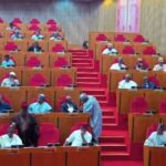Don’t Harass My Mining Marshals, Alake Warns Security Agents, Civilians