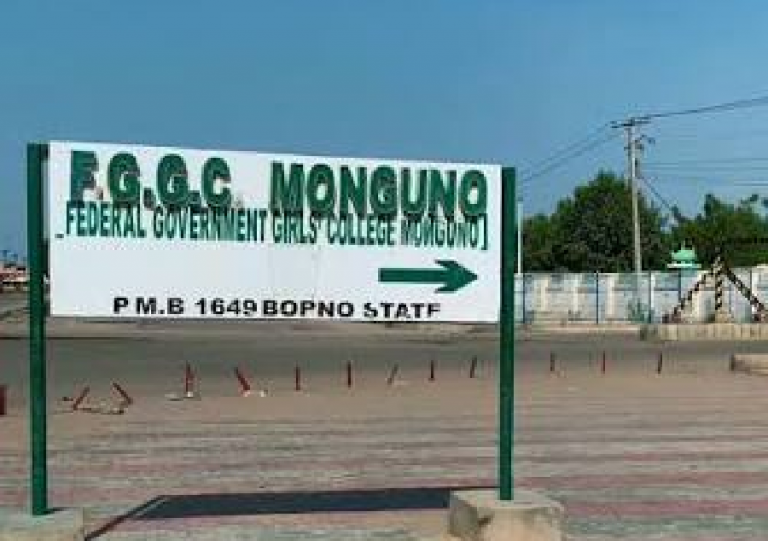 FG Dismisses Borno School Attack Report After Verification