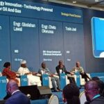 Ministers, Not Tinubu, Should Account for 2025 Budget Implementation, Says Agbese