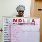 Delta Police Impound Vehicles, Arrest 202 in Intelligence-Led Raid