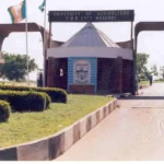 Over 5,000 Fibre-Optic Cables Damaged in Six Months, NCC Warns