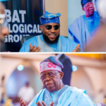 Tinubu’s Stock Market Counsel Validates My Mining Education Agenda