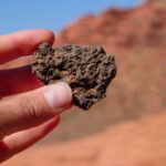 China’s September Coal Imports Fall 6% as High Inventories Weigh on Demand