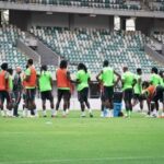 Iheanacho Returns for Russia Friendly After 16 Months Super Eagles Absence 